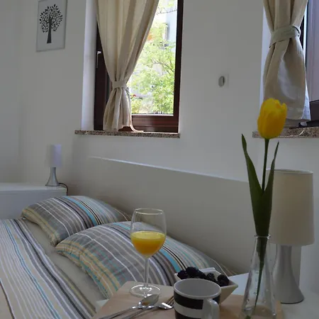 Apartment Alba *